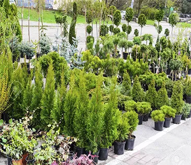 Guia Planta e Jardim