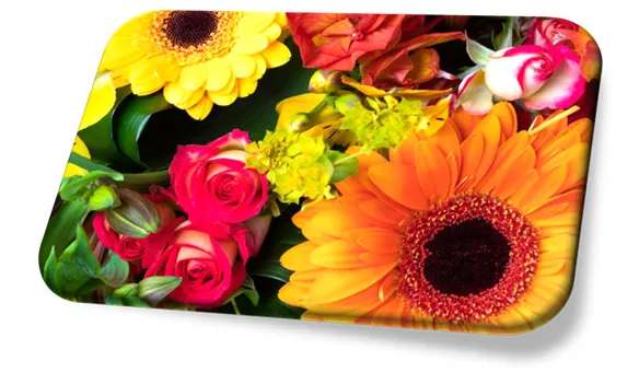 Flores