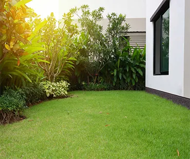 Grama para Jardim