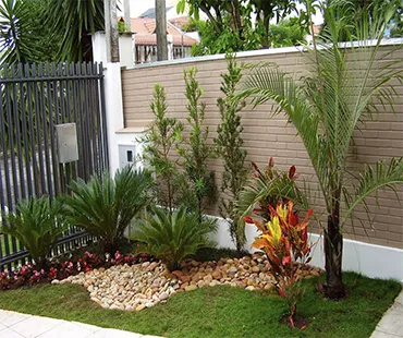 Plantas para Jardim