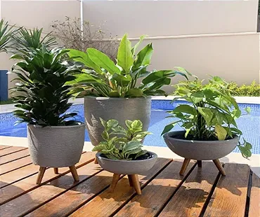 Vasos para Plantas