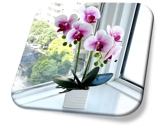 Orquídeas