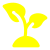 Plantas de Inverno