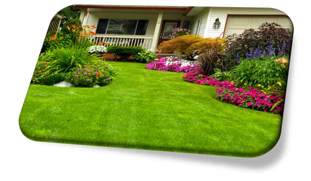 Plantas para Jardim
