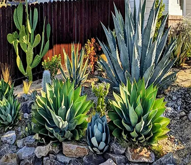 Guia Planta e Jardim