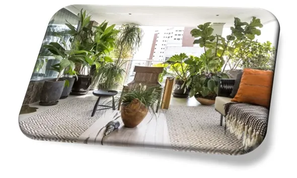 Plantas para Varanda