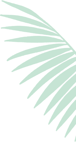 Guia Planta e Jardim