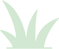 Planta para Apartamento