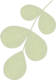 Guia Planta e Jardim
