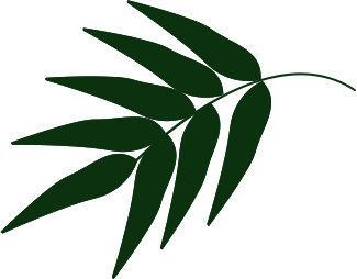 Guia Planta e Jardim