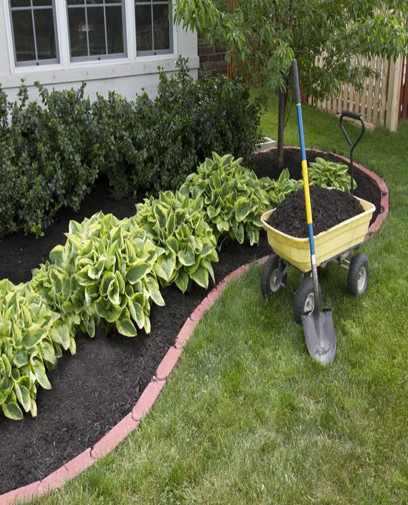 Guia Planta e Jardim