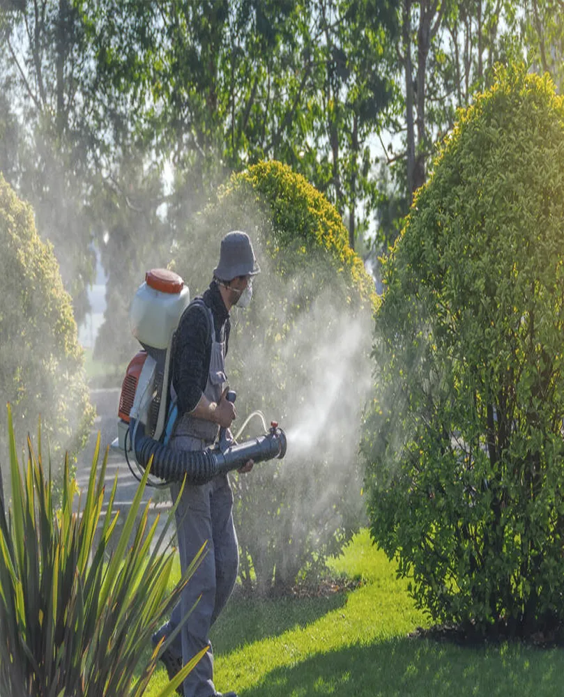 Guia Planta e Jardim